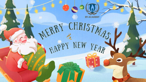 ✨ A Heartwarming Celebration: The Magic of Christmas at EFI Academy ✨