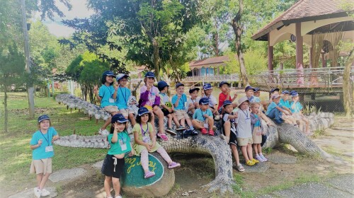 A Wild Day Out: My First School Kindergarten Field Trip to Yang Bay Park