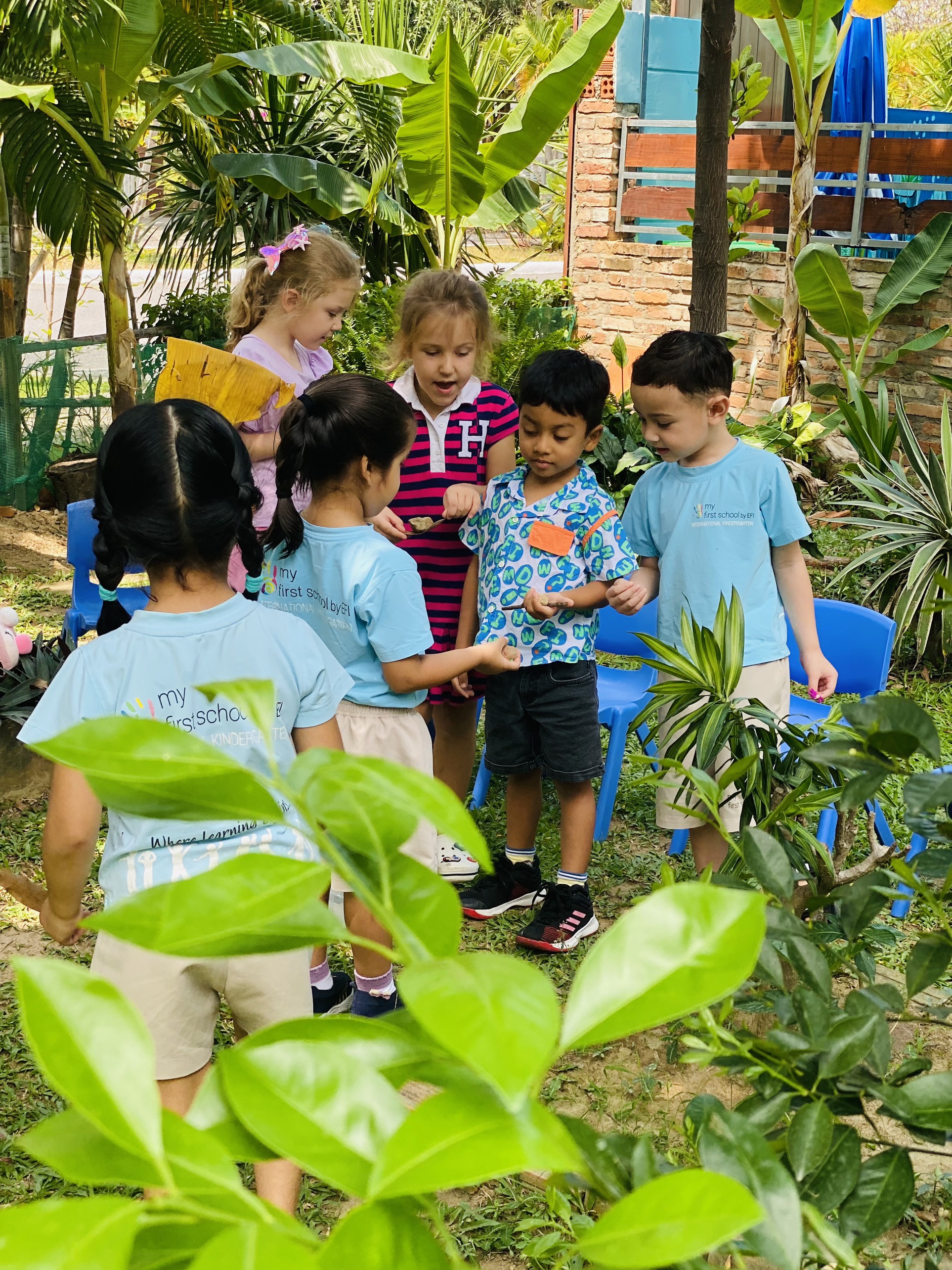 Học tập và phát triển giữa thiên nhiên tuyệt vời tại My First School!